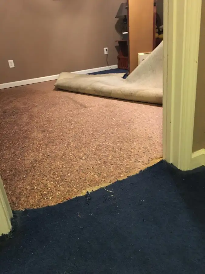 Carpet pad removal revealing water damage during Water Mitigation Services in Lowes Island