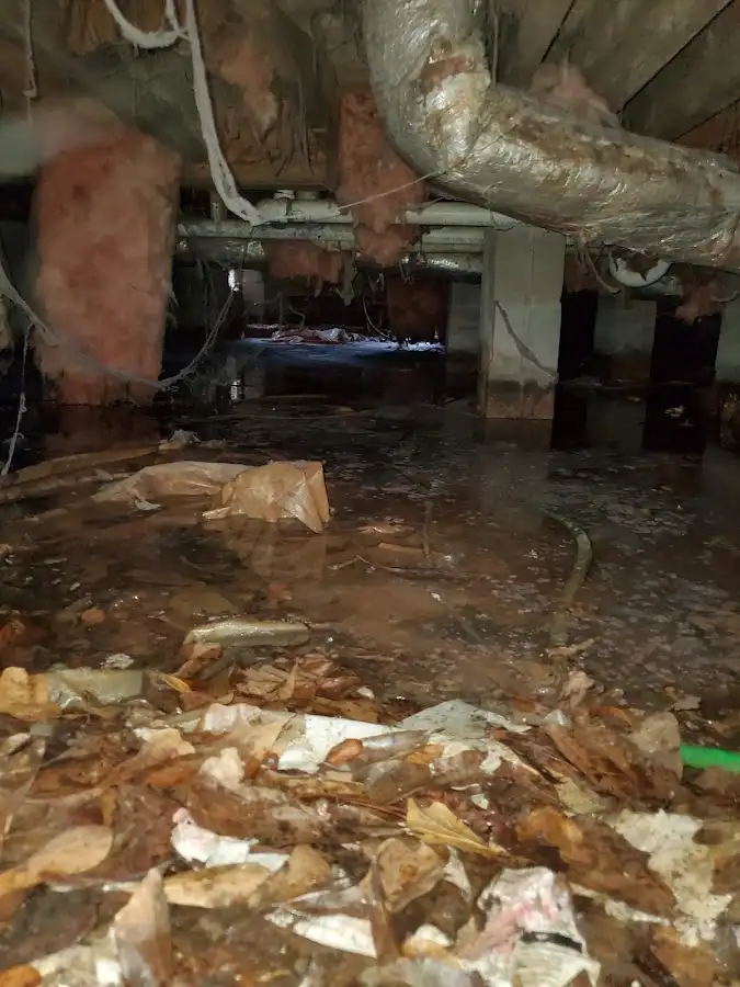 Crawl space flood assessment for Leak Detection & Repair in Lowes Island