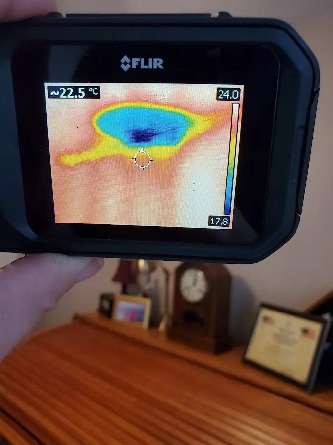 Thermal imaging inspection for water damage in Lowes Island