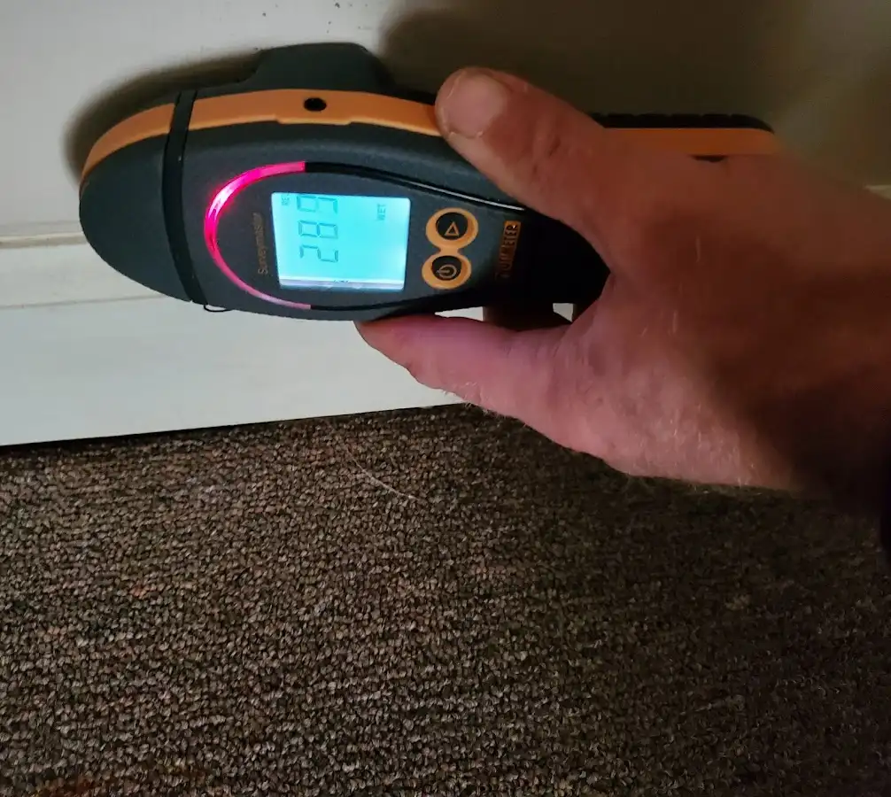 Moisture detection at baseboard during Burst Pipe Cleanup in Lowes Island